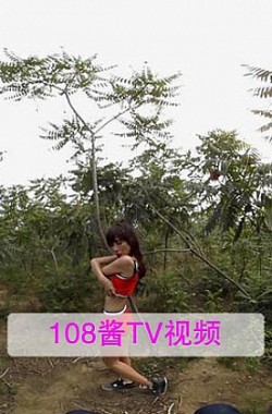 [108酱TV]VR系列 2016.11.02 田小燕小树林连的秘秘 [1V]